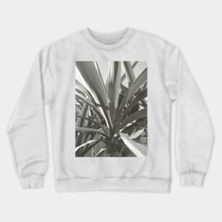 Yucca plant close up, black and white nature photography Crewneck Sweatshirt